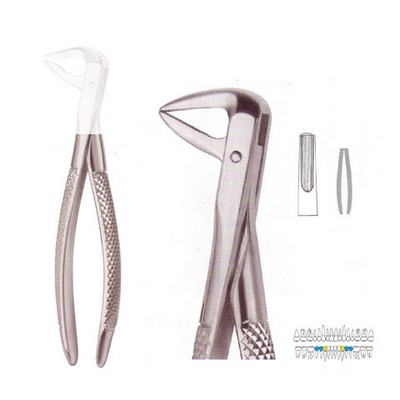 Extracting Forceps